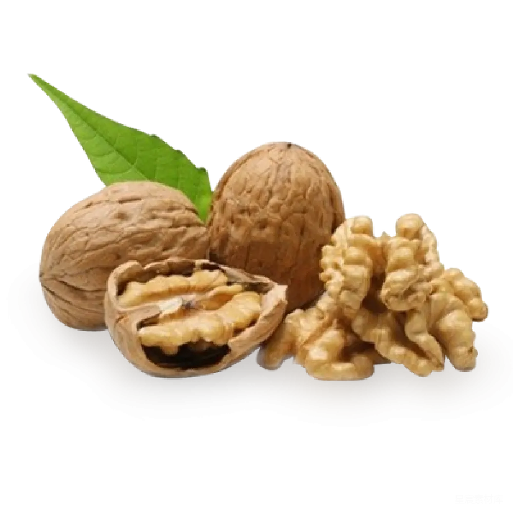 元素素材 核桃
