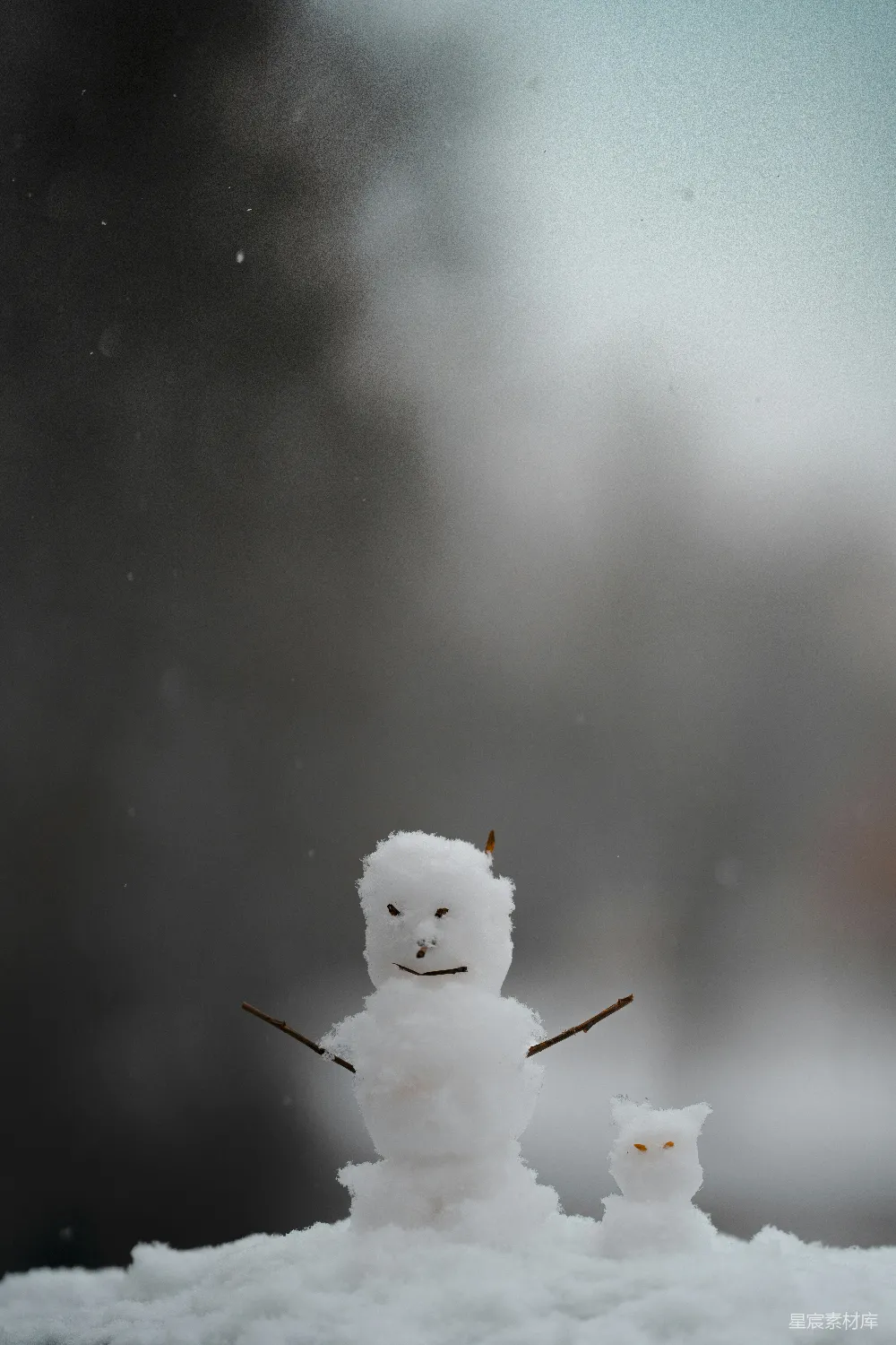 头戴雪花的白雪人