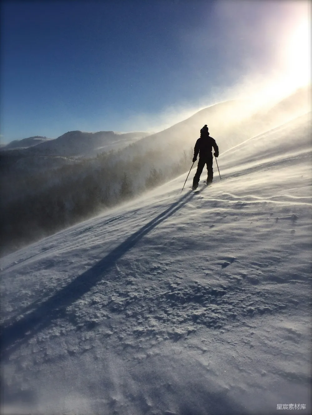 白天滑雪者在树旁冰面上滑行