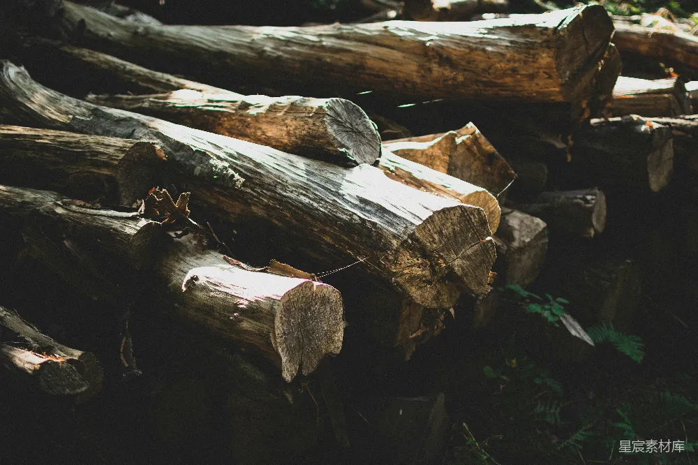 棕色木头 logs 放在绿色草地上