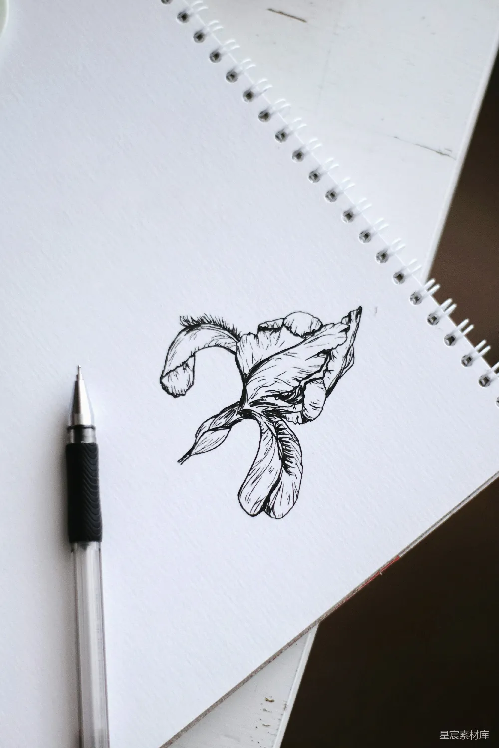 高清摄影  白色打印纸上有女人素描图
