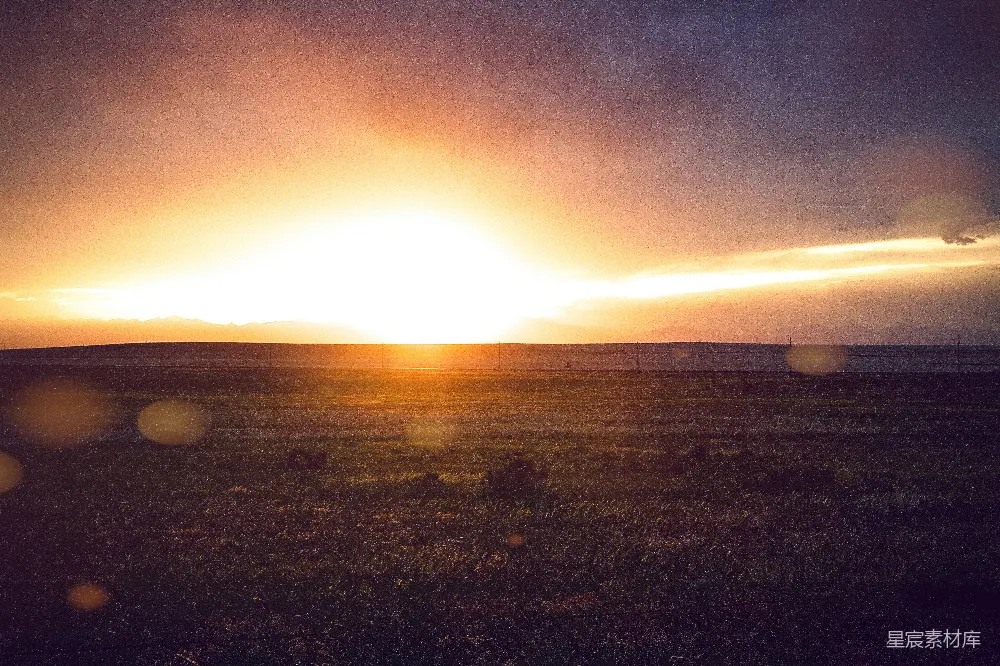 夕阳西下，草地上一片金黄。