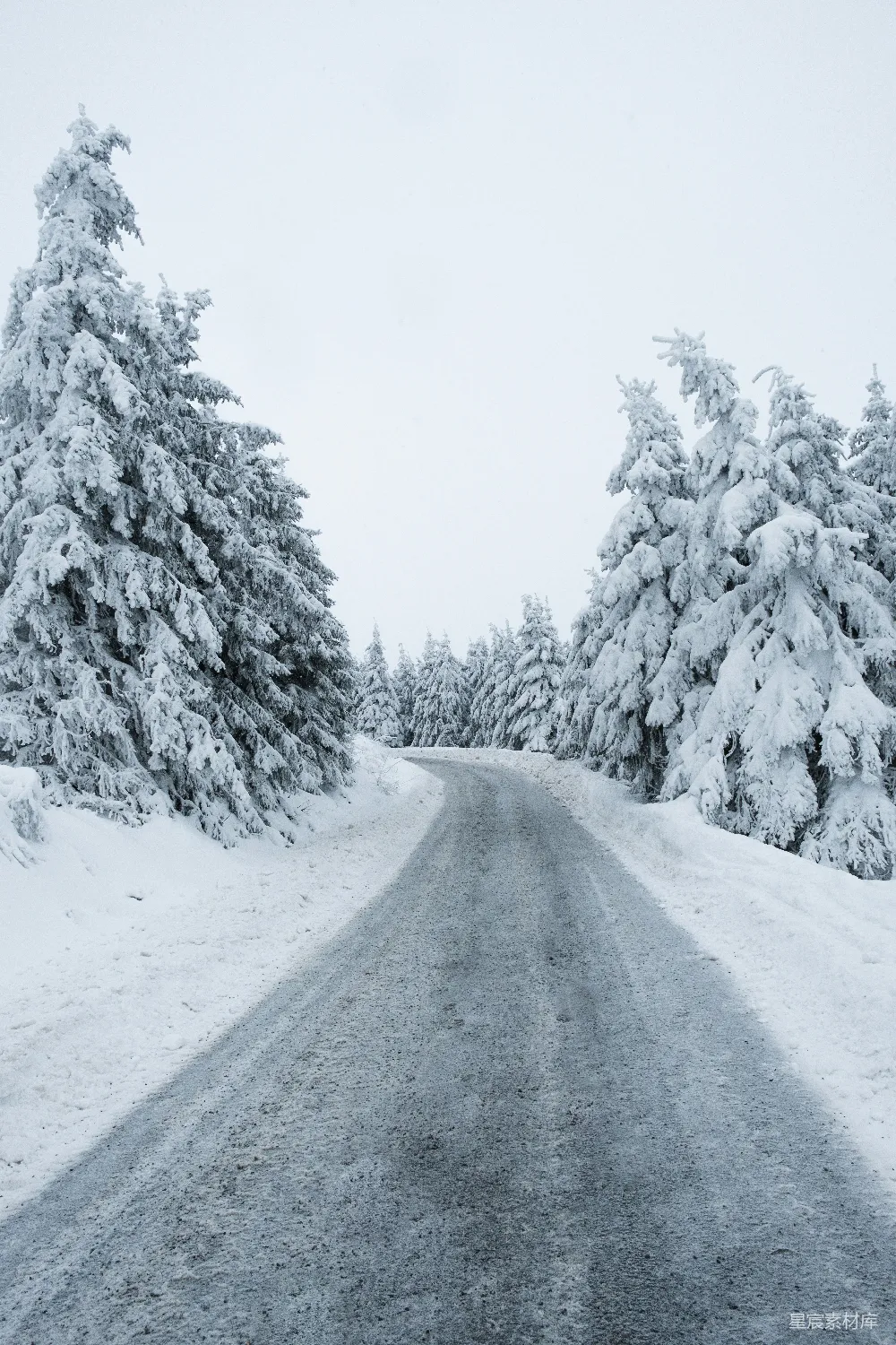覆盖着白雪的道路周围是被雪覆盖的树木。
