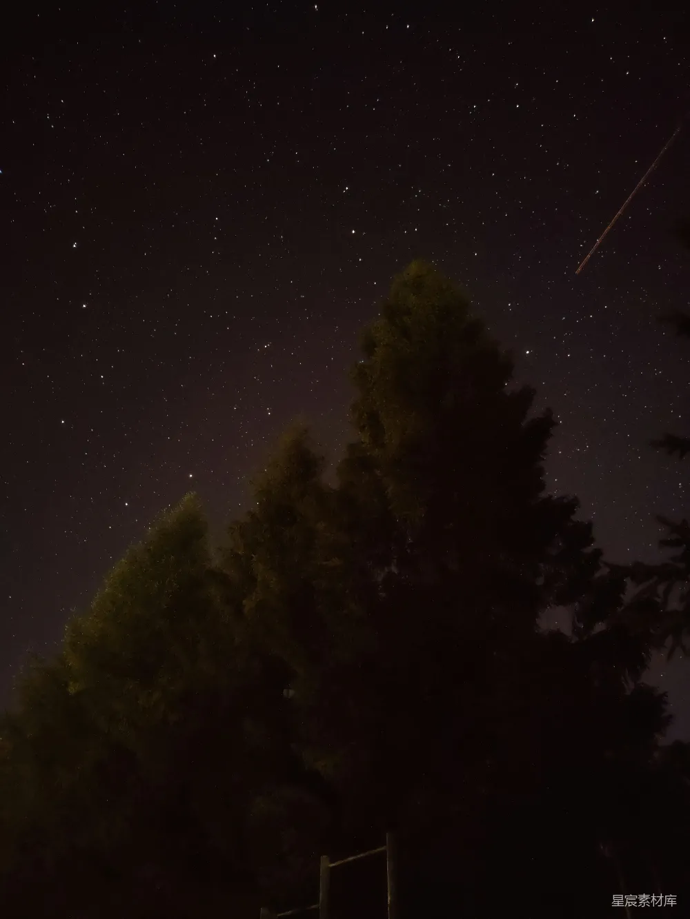 夜幕下的绿树蓝天