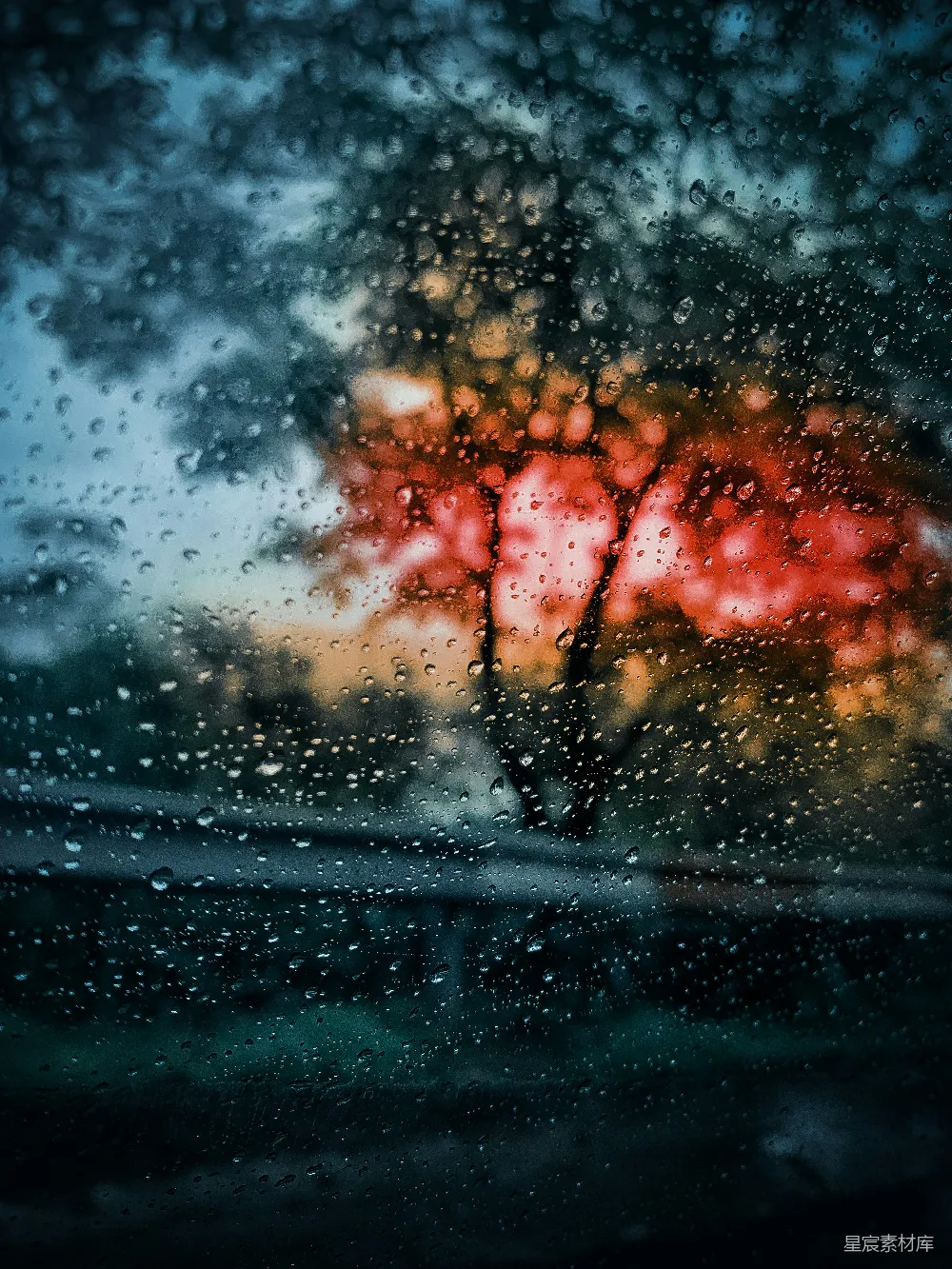 高清摄影 实验性 透过一扇被雨水覆盖的窗户看树的景象