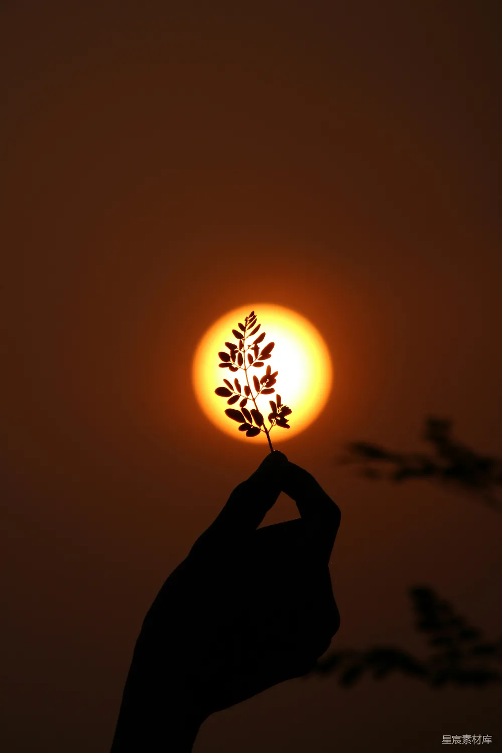 高清摄影  剪影中的人拿着太阳。