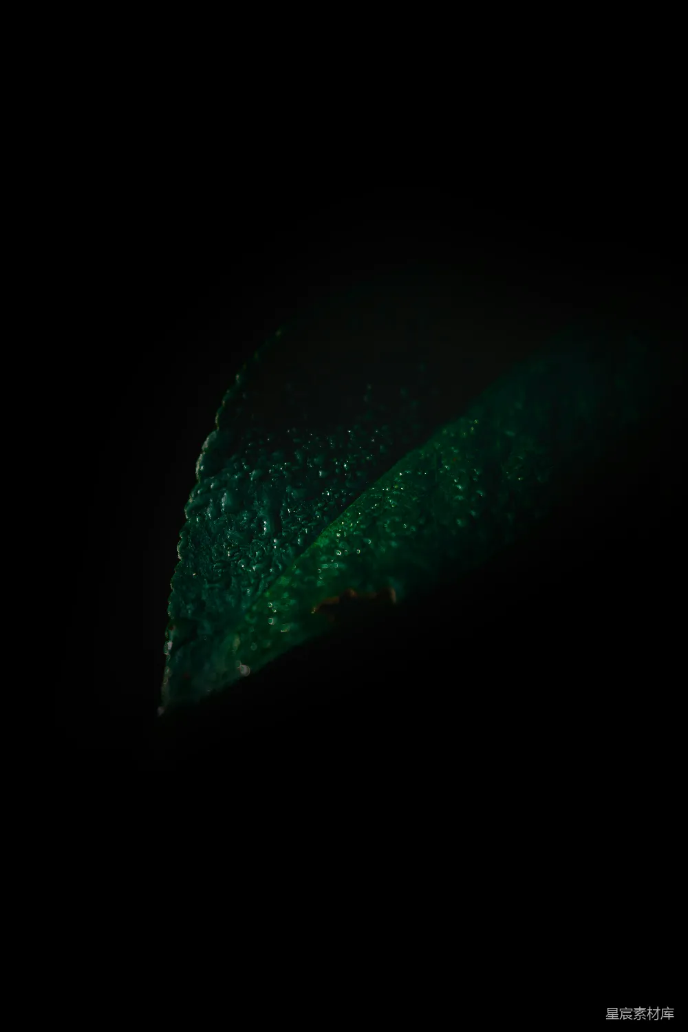 一个绿色物体的特写镜头，在黑暗中。