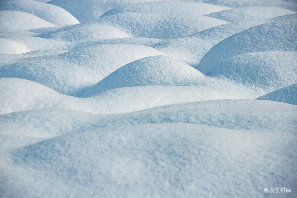 一片覆盖着白雪的地面上的特写镜头