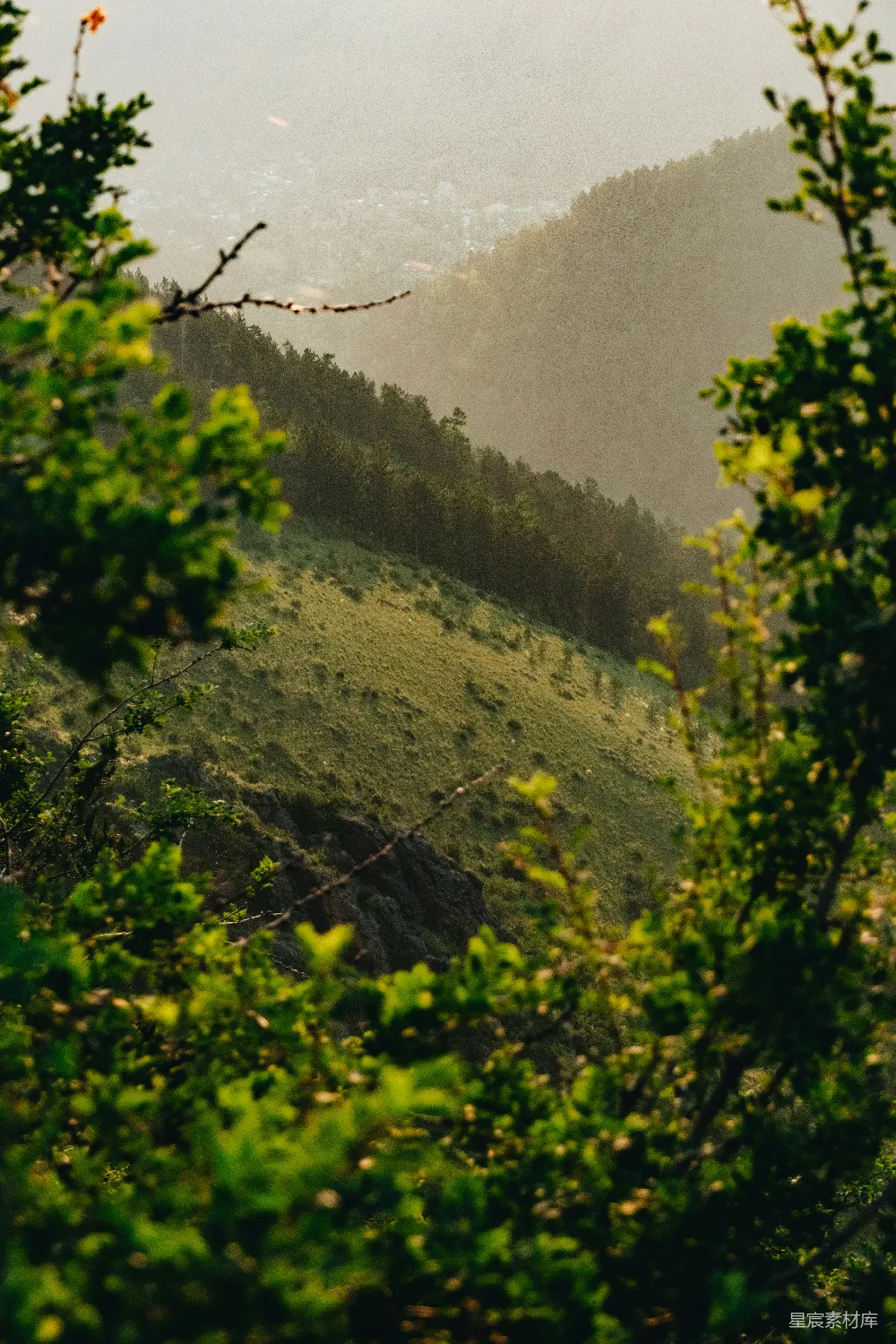高清摄影 自然 山谷中的树木与山峦在背景之中的一幅景象