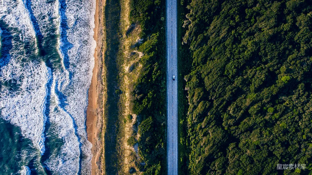 高清摄影 壁纸 白天拍摄的树木和海浪之间的混凝土道路的航拍照片