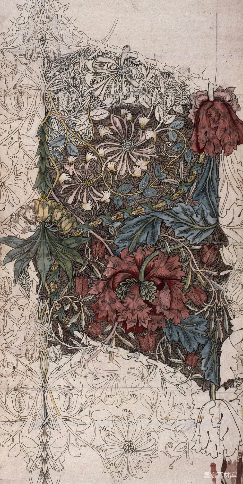 高清摄影  一幅画有花朵的蛋糕的图画