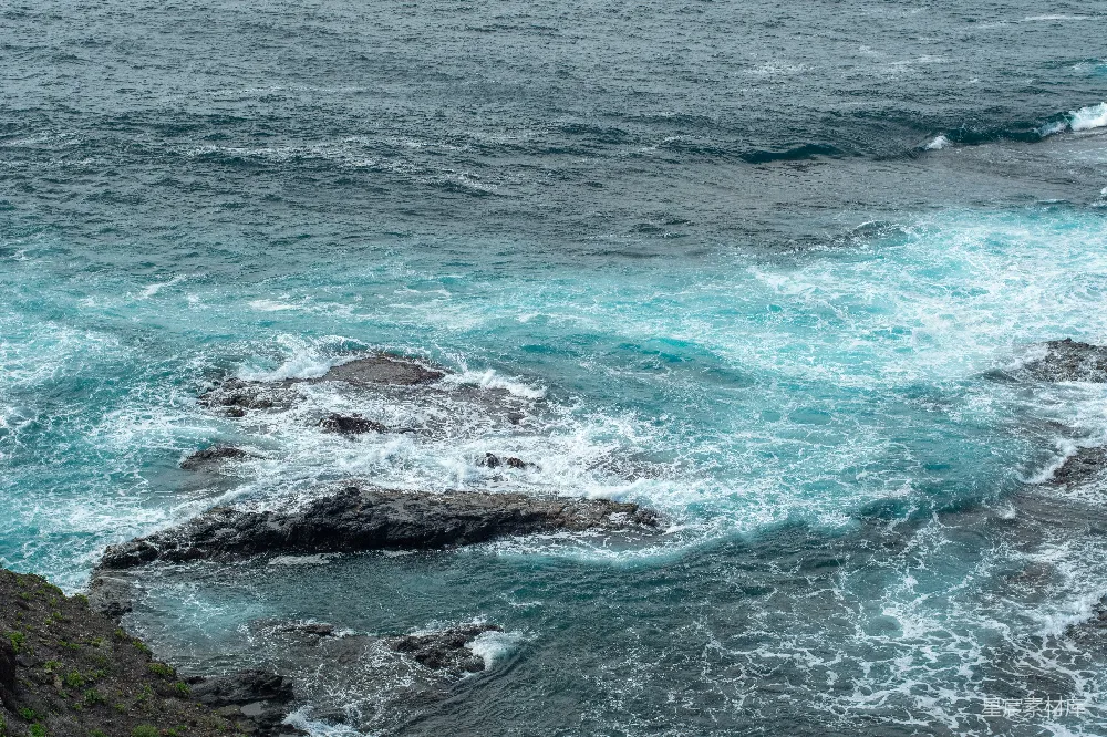 海边岩石旁的一只鸟坐在上面。