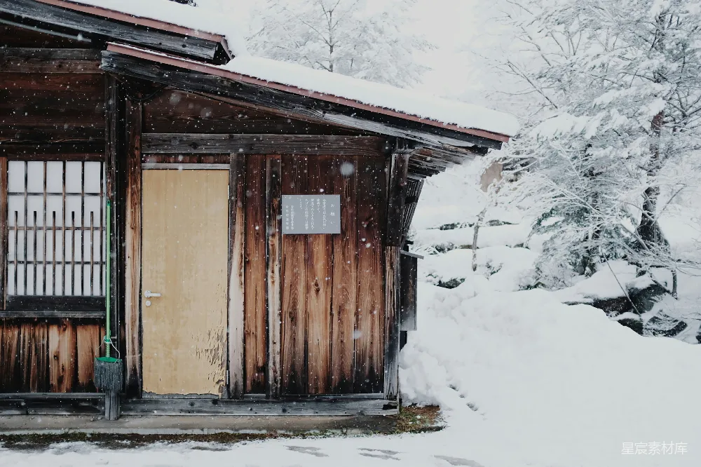 高清摄影  白天被雪覆盖的棕色木屋