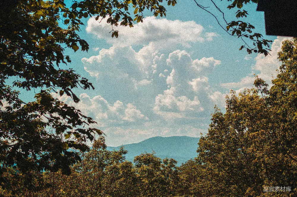 森林中俯瞰的一片山峦美景