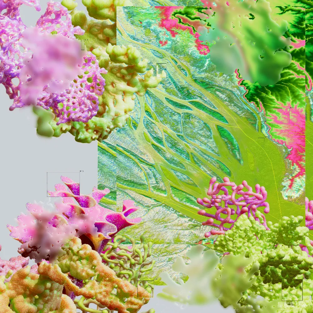 高清摄影  一幅由多朵花组成的数字画