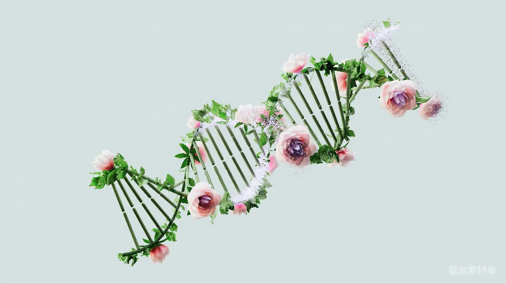 高清摄影 自然 一束堆叠在一起的花。