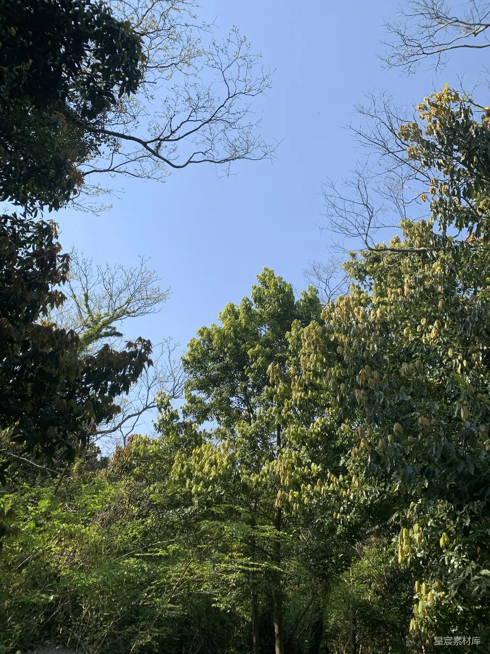 林间空地中的一个路标