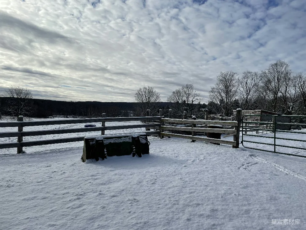 雪地里的一个长椅