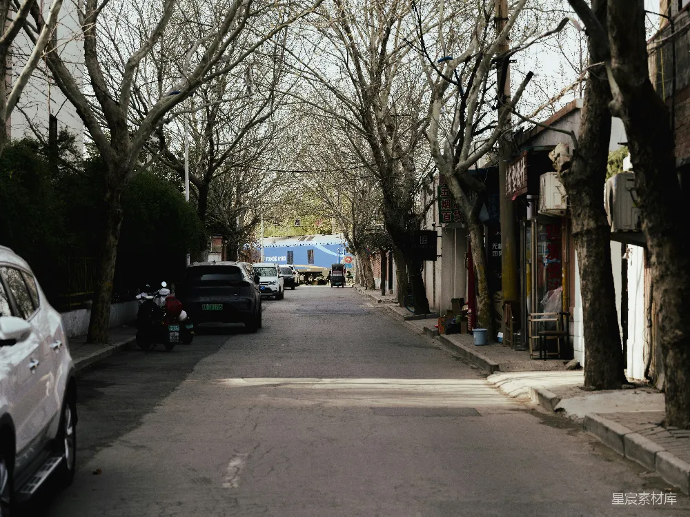 街道两旁是几棵裸露的树木，一条安静的居民区里停着汽车。