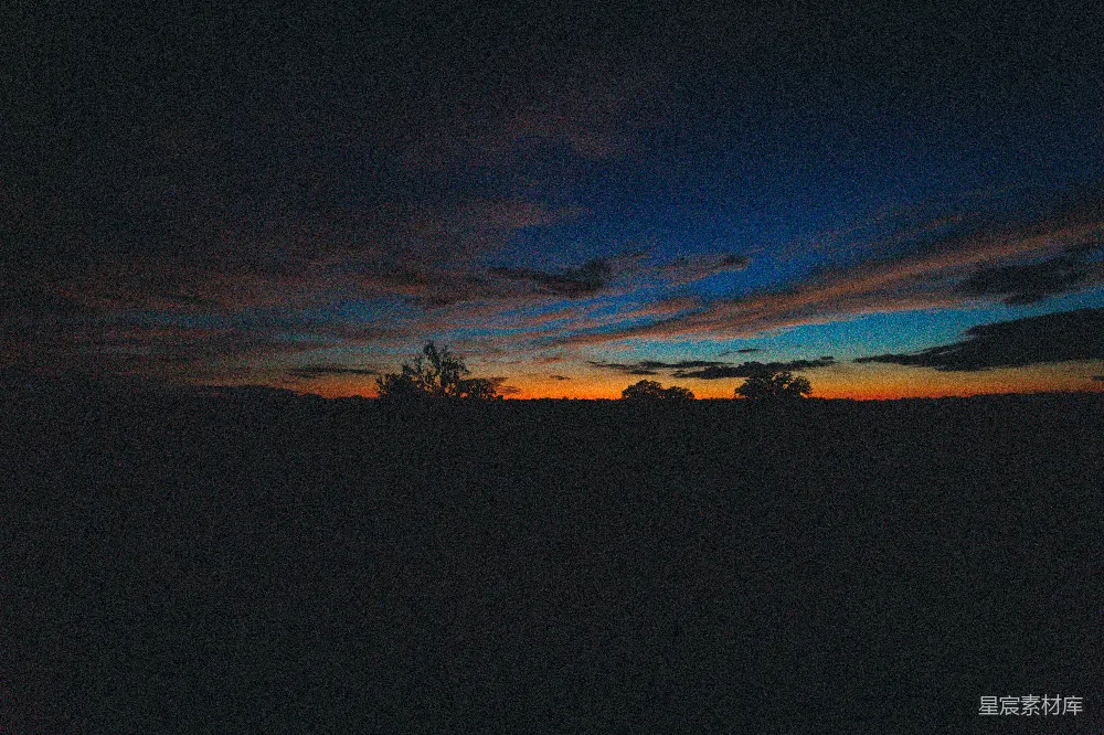 夕阳映照在一片黑暗的 landscapes 上，树木呈现出剪影。