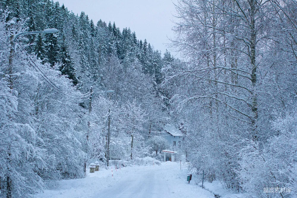 森林中一条被雪覆盖的道路