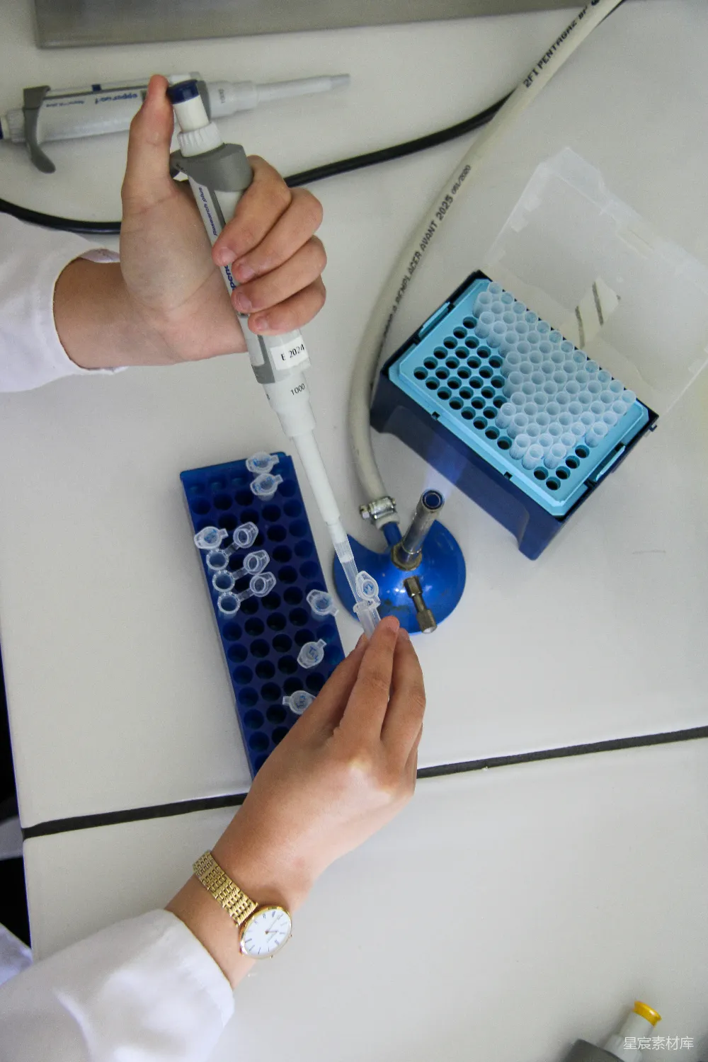高清摄影  科学家正在实验室里使用移液管。