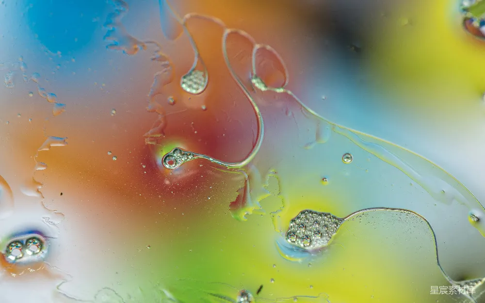 高清摄影  绿色水面上的水珠