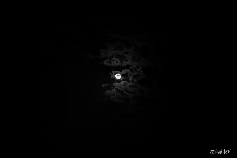 高清摄影  夜晚天空中的月亮