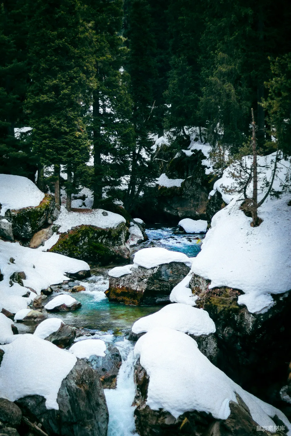 一条穿过雪覆盖森林的溪流