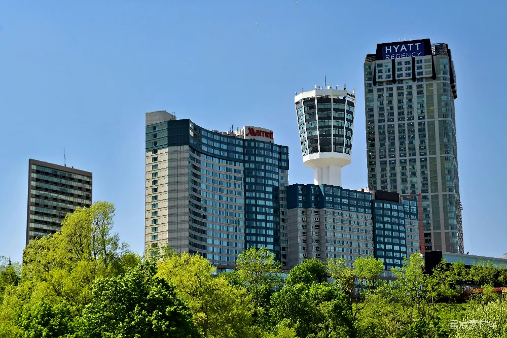 高建筑物和一家 Hyatt 酒店拔地而起，矗立在绿树之上。