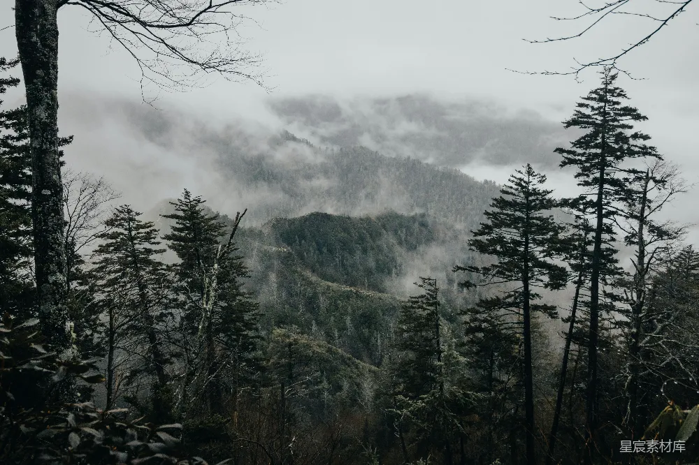 高清摄影  照片中有青山和雾气。