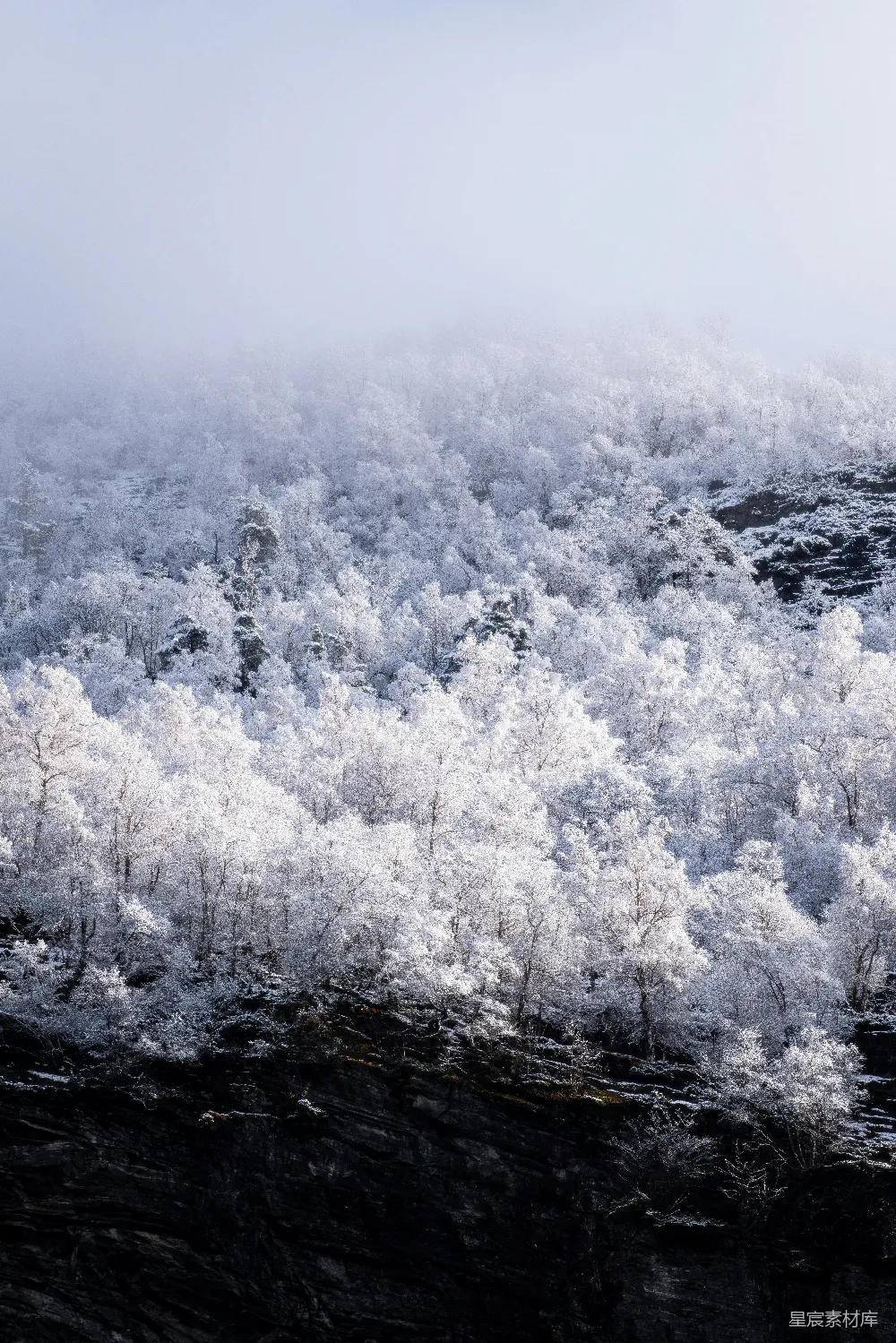 山坡上覆盖着白雪，在一片薄雾中。