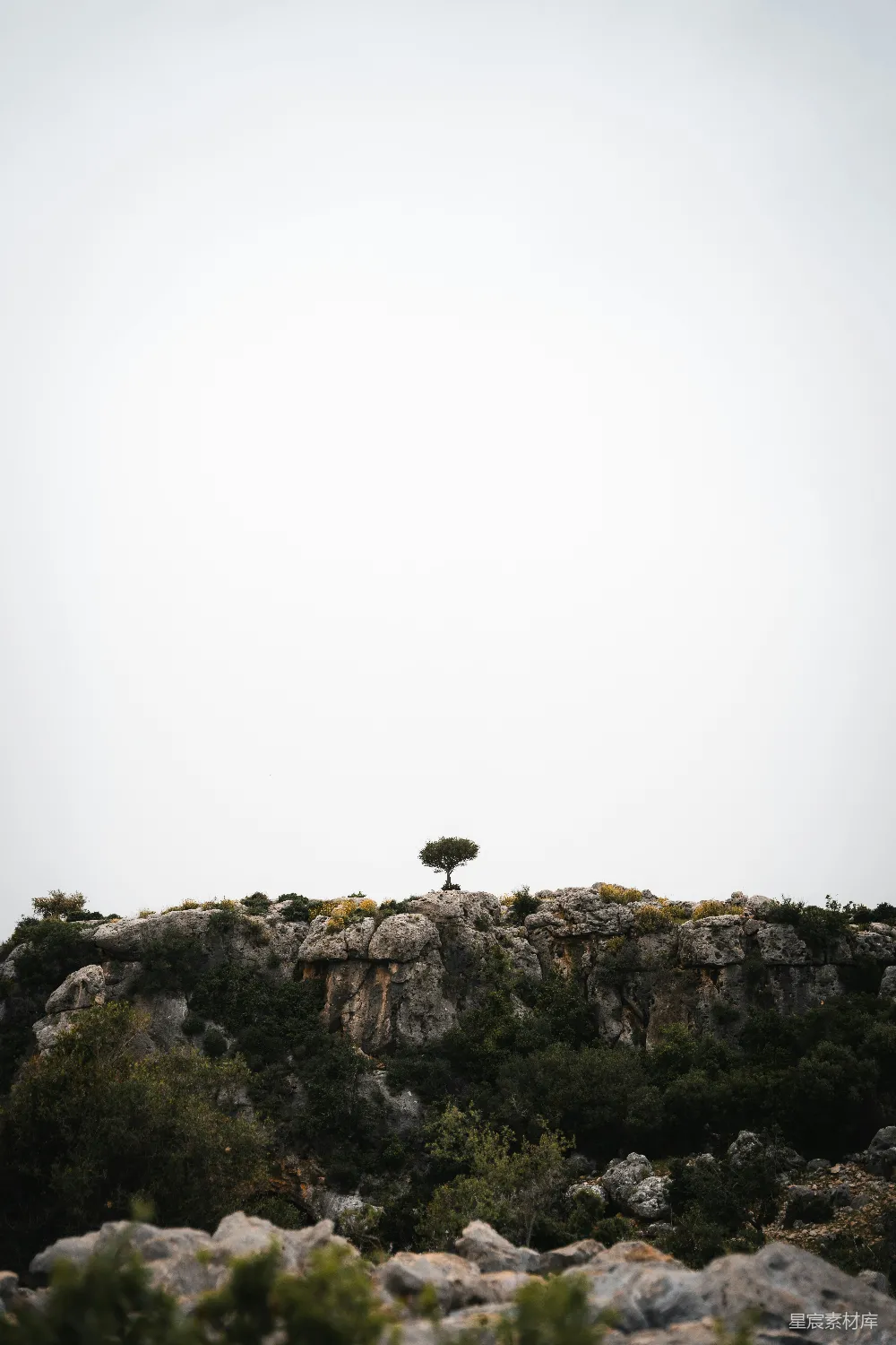 高清摄影 壁纸 自然 旅行 一棵孤独的树矗立在岩石山丘之巅
