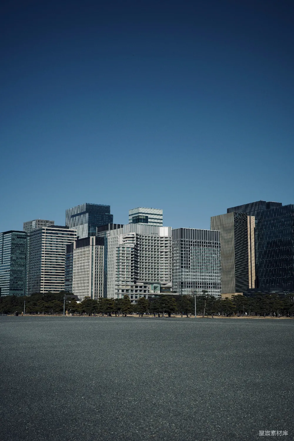 一座城市的大观，高楼林立。