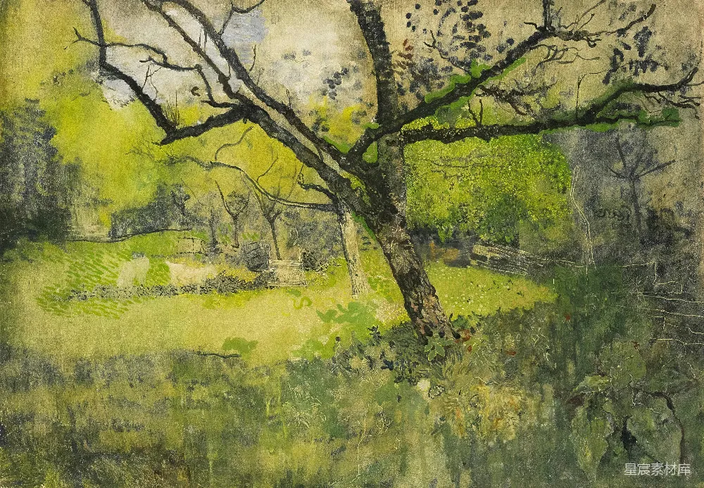 一幅画在草地中的树的水彩画。