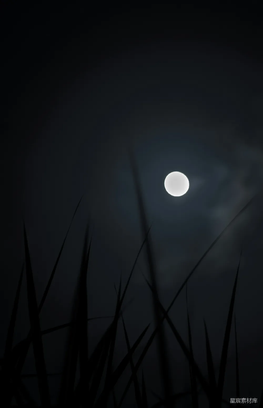 夜间月亮