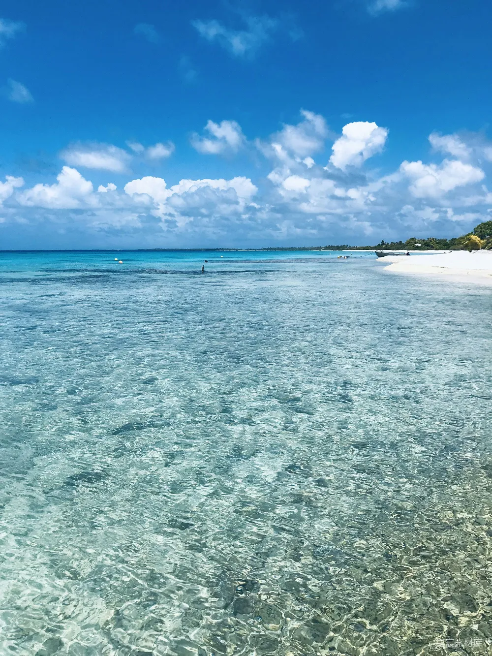 背景中有沙滩的水域