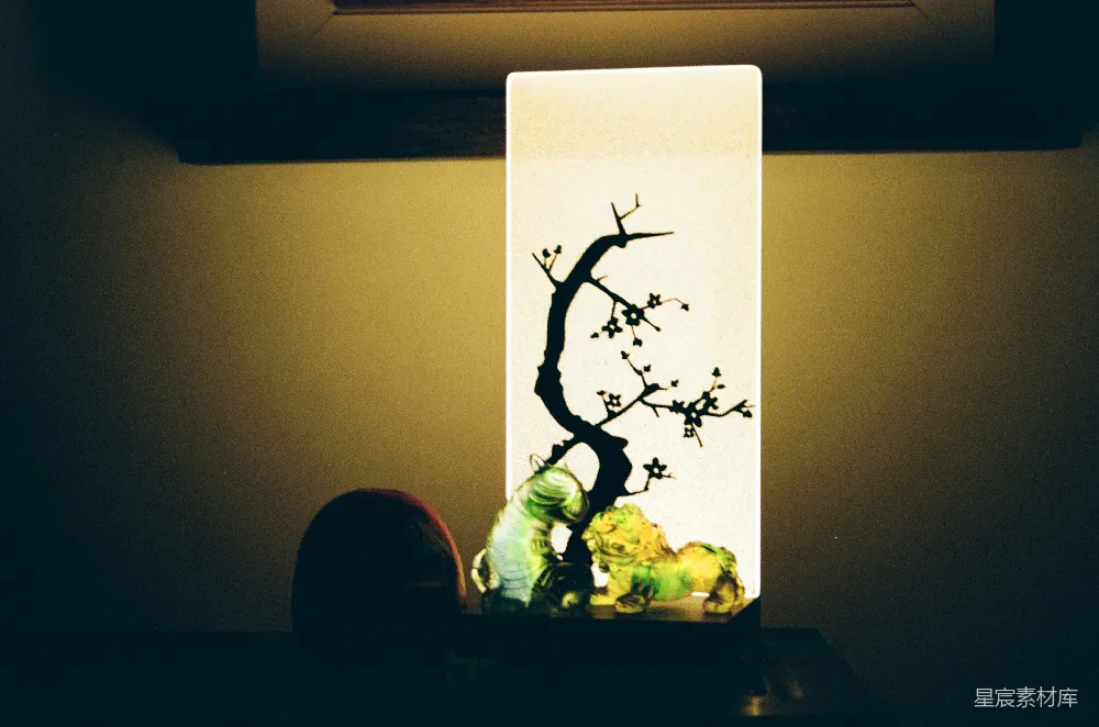 高清摄影 电影 白绿相间的花画
