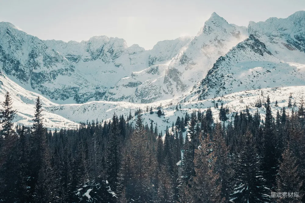 覆盖着白雪的山峦，松树在前景中。