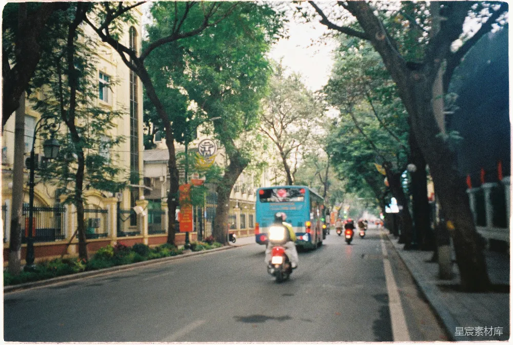 摩托车和公共汽车在一条树-lined城市街道上。