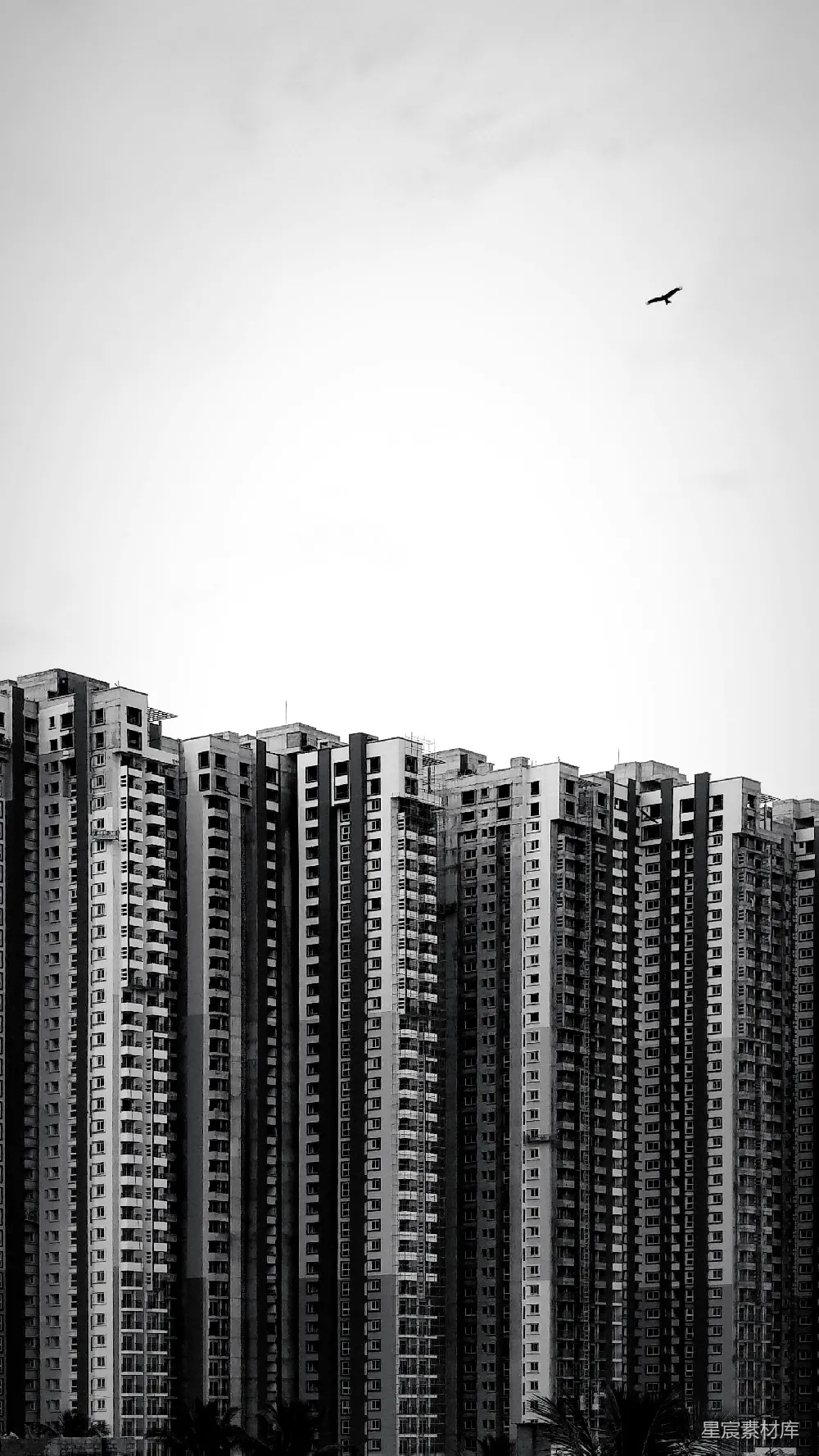 高清摄影  黑白摄影中的高层建筑