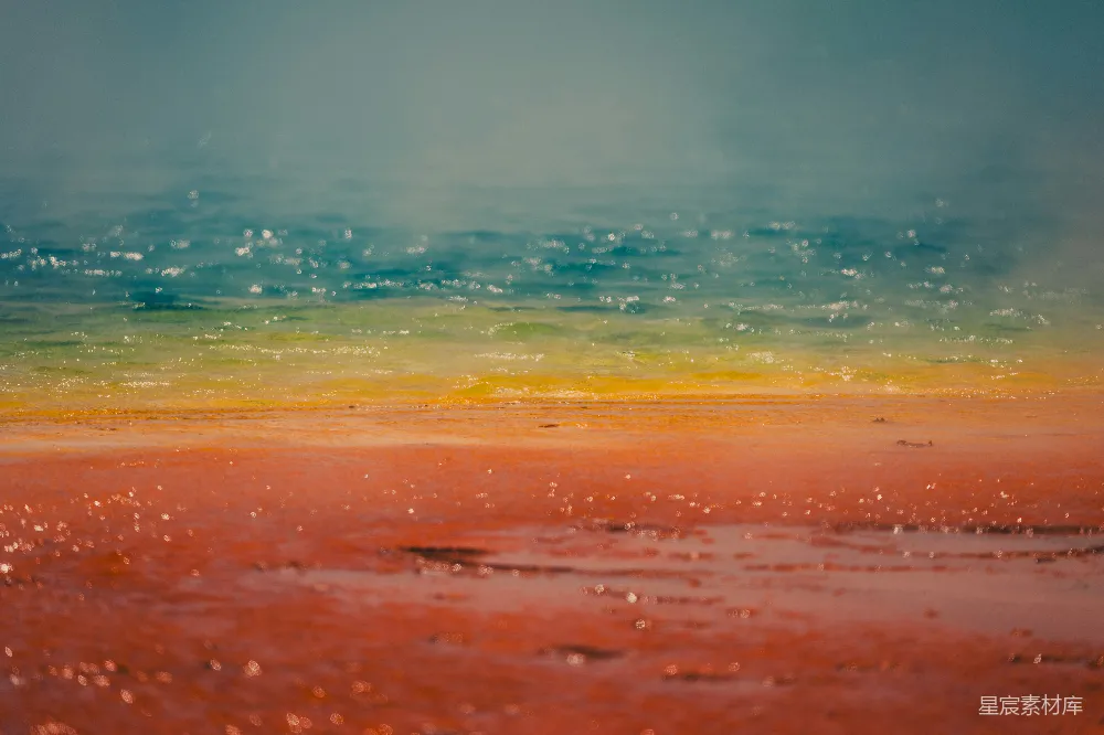 一幅描绘海边背景的画作