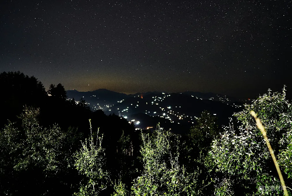 夜间绿树与山峦
