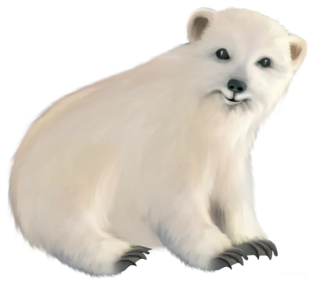 元素素材 PNG