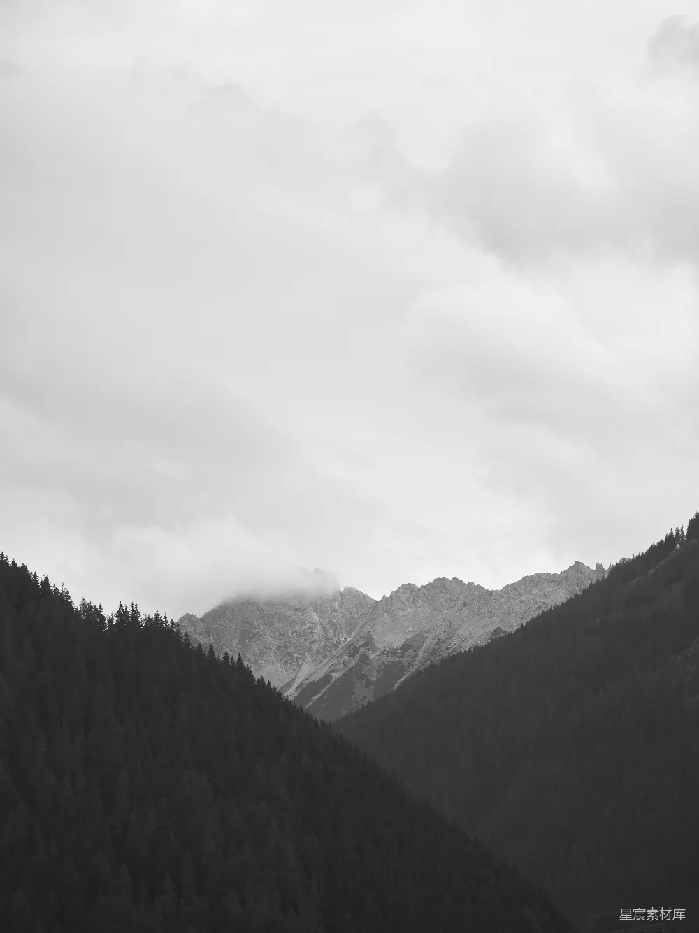 高清摄影 旅行 自然 壁纸 一座覆盖着雪的山，山上长着树木。