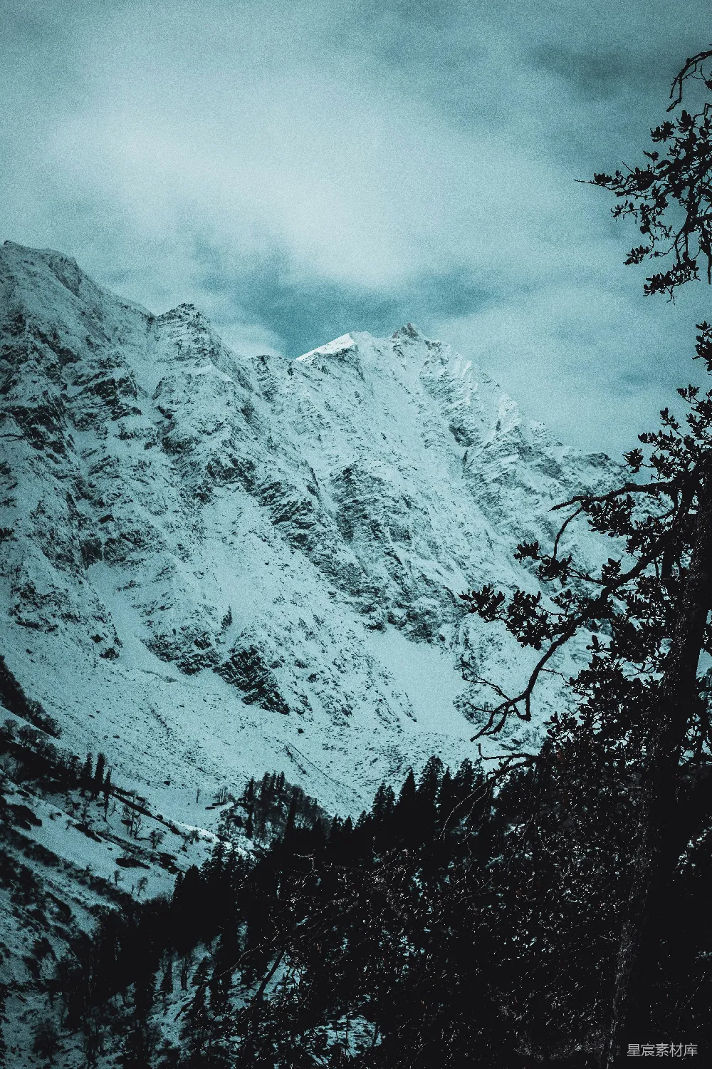 山顶覆盖着白雪，前景有树木。