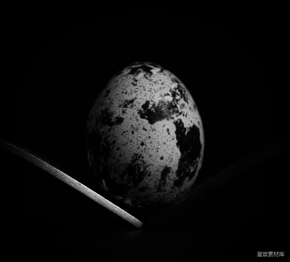高清摄影  夜间拍摄的月球黑白照片