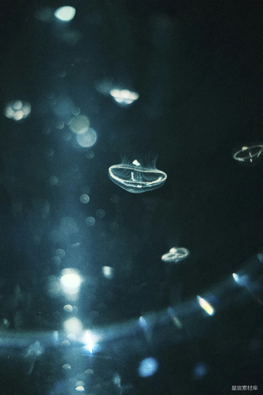 表面水珠的特写镜头