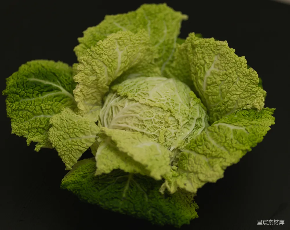 黑表面一头的大白菜