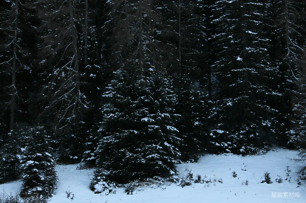 一个滑雪者在覆盖着白雪的山坡下滑行